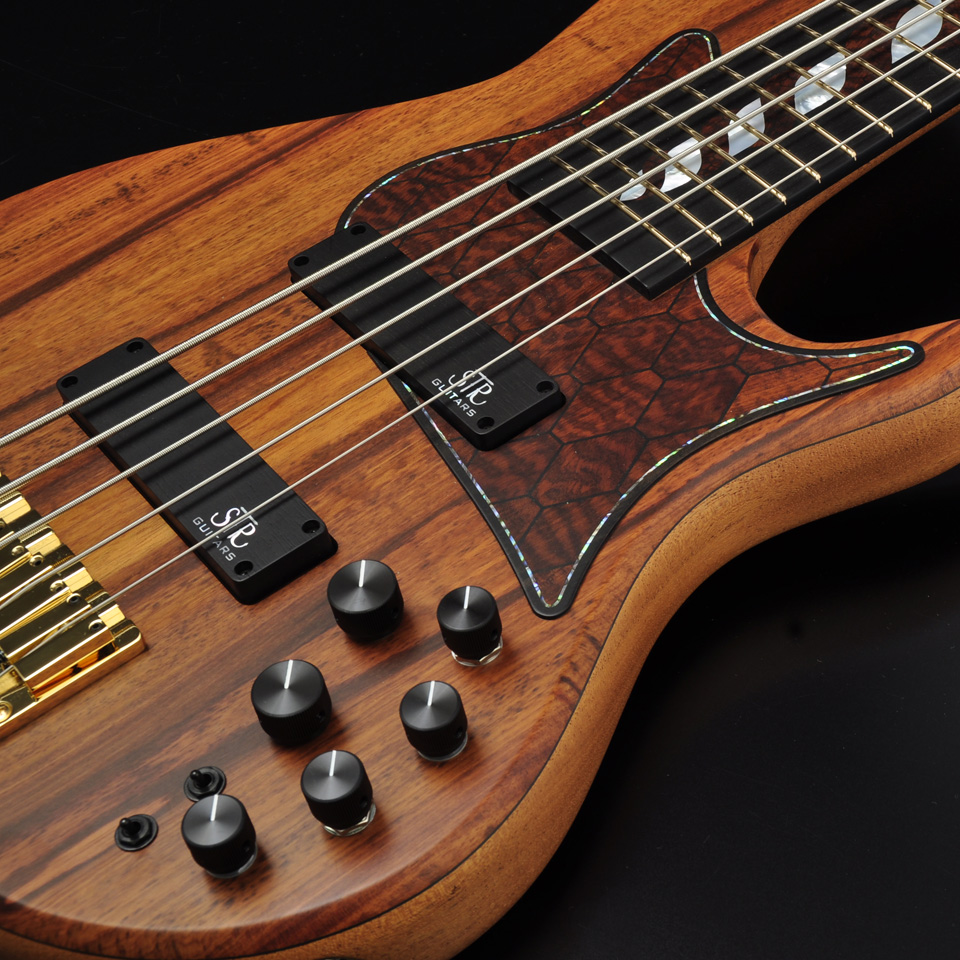 STR GUITARS：400-DSC549
